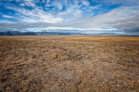 54ed993a-cd4f-4037-ba3607f69a9a786b